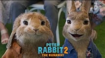 PETER RABBIT 2 THE RUNAWAY movie