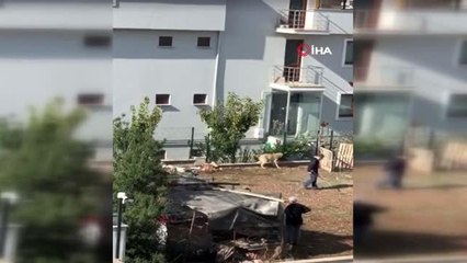 Sokak köpeğini sopa ile acımasızca dövdü