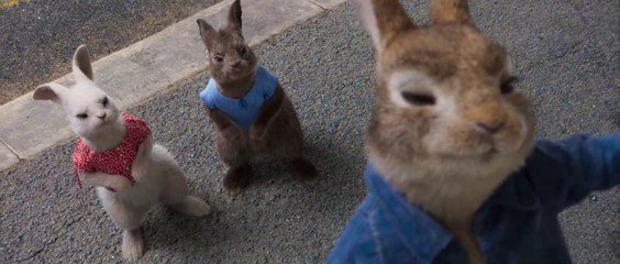 Pierre Lapin 2 Panique en ville Film