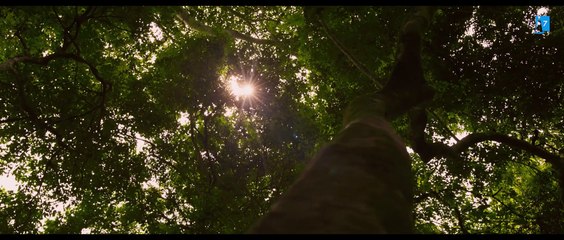 Tráiler "Adú", dirigida por Salvador Calvo y protagonizada por Luis Tosar, Ana Wagener, Anna Castilo y Álvaro Cervantes.