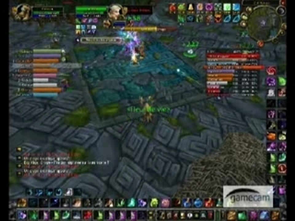 Wow chevalier chopine zul aman raid druid akilzon