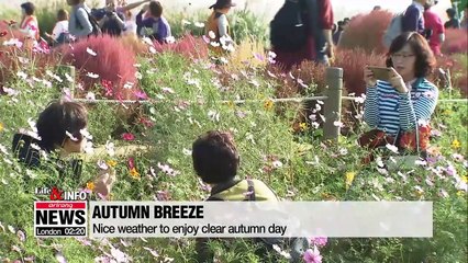 Seoul Silver Grass Festival is perfect way to spend cool autumn day