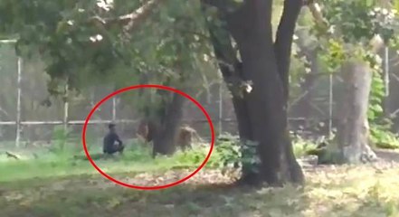 Man Vs Lion in Delhi Zoo * DO not Attempt This Ever You will Die  | Oneindia Malayalam