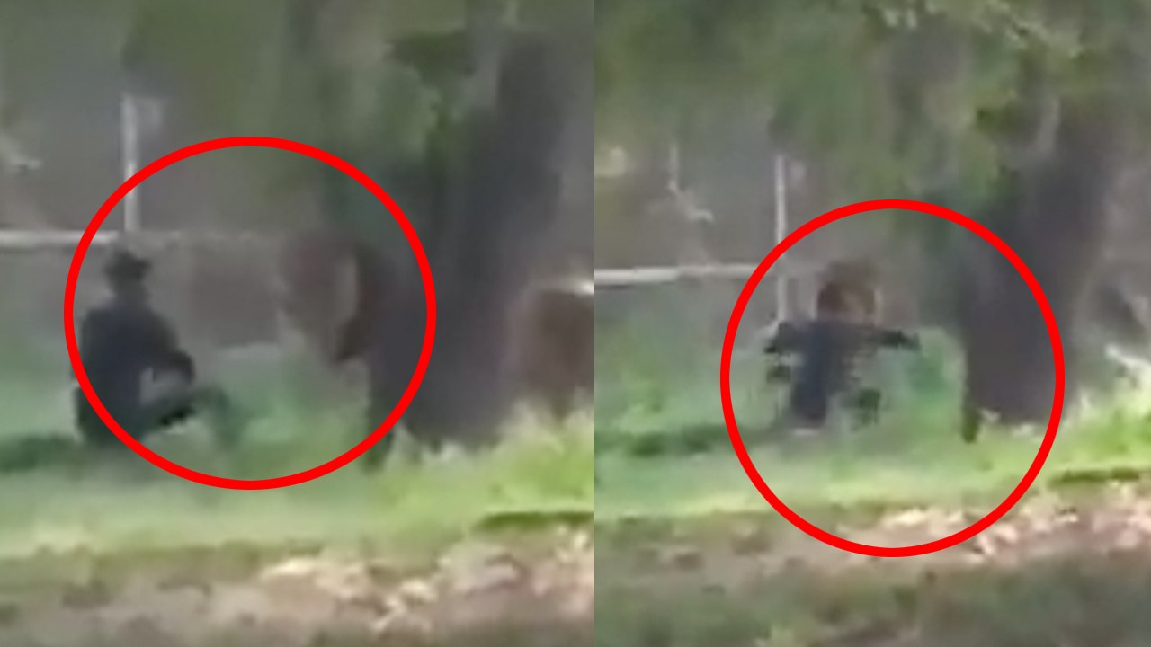 Man Vs  Lion In Delhi Zoo Warning Do not Do this Ever you will not survive