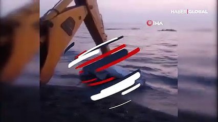 İzmir'de köpek balığı karaya vurdu