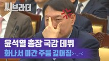 법사위 국감... 윤석열의 喜怒哀樂? 아니 윤석열의 怒怒怒怒 [씨브라더]