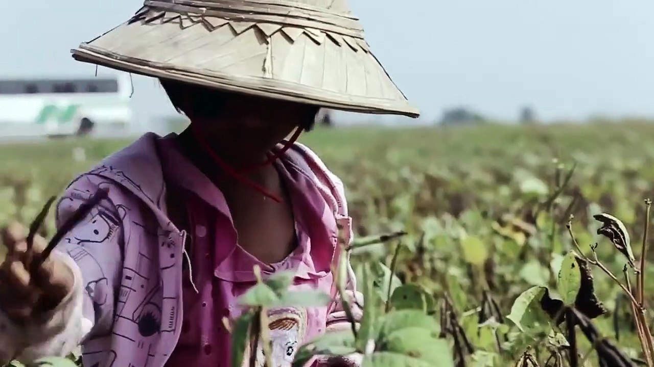 Oaxis,ရွှေထူး - လူတွေ (Oaxis,Shwe Htoo)
