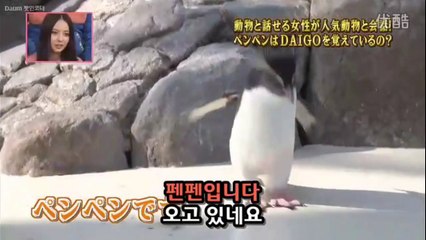 28★하이디SP ②펭귄 펜펜의 기억