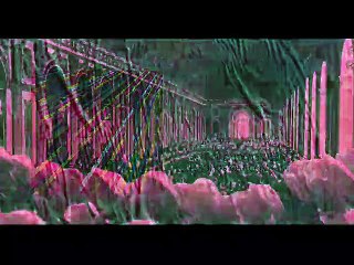 1700 Sermon 13 Oct 2019