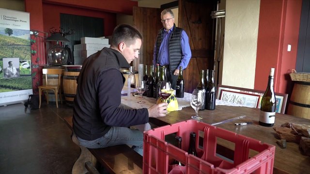 Le vin français taxé à 25% aux Etats-Unis : Les viticulteurs voient rouge