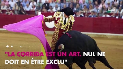 Jean Reno contre l'interdiction de la corrida aux mineurs : il se fait lyncher sur Twitter