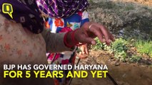 In Haryana's Hisar, Women Still Rely on Wells For Drinking Water