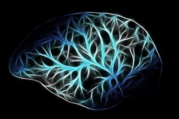 Le test de QI le plus court du monde: 3 questions pour évaluer votre intelligence