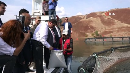 Denize kıyısı olmayan Sivas, dünyaya balık ihraç ediyor