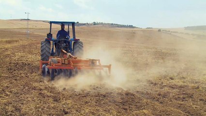 مبادرة بتونس تشجع على استخدام البذور الأصلية