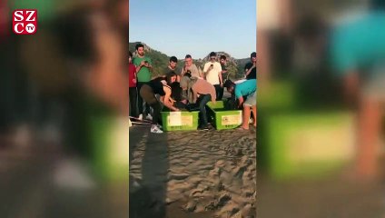 Caretta Caretta’lar tedavi edildikten sonra yaşam alanlarına bırakıldı