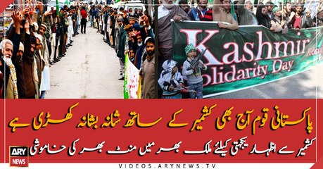 Pakistanis to observe Friday as Kashmir Solidarity Day.