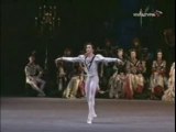 Dmitry Gudanov - Swan Lake