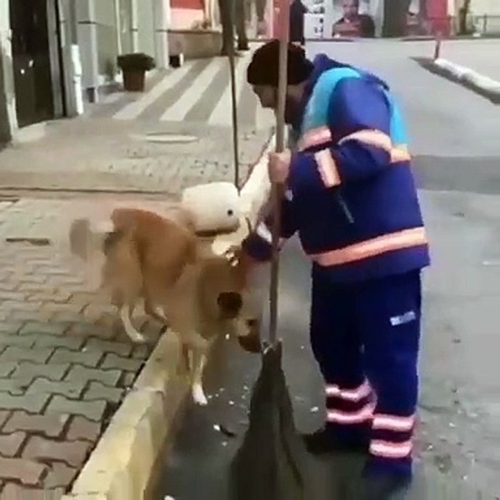 Le chien soulève la patte et ce qui se passe donne des frissons