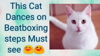 See Cat Dances on Beatboxing ... So Soool