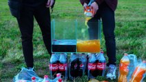 Experiment : Coca Cola Vs Mentos