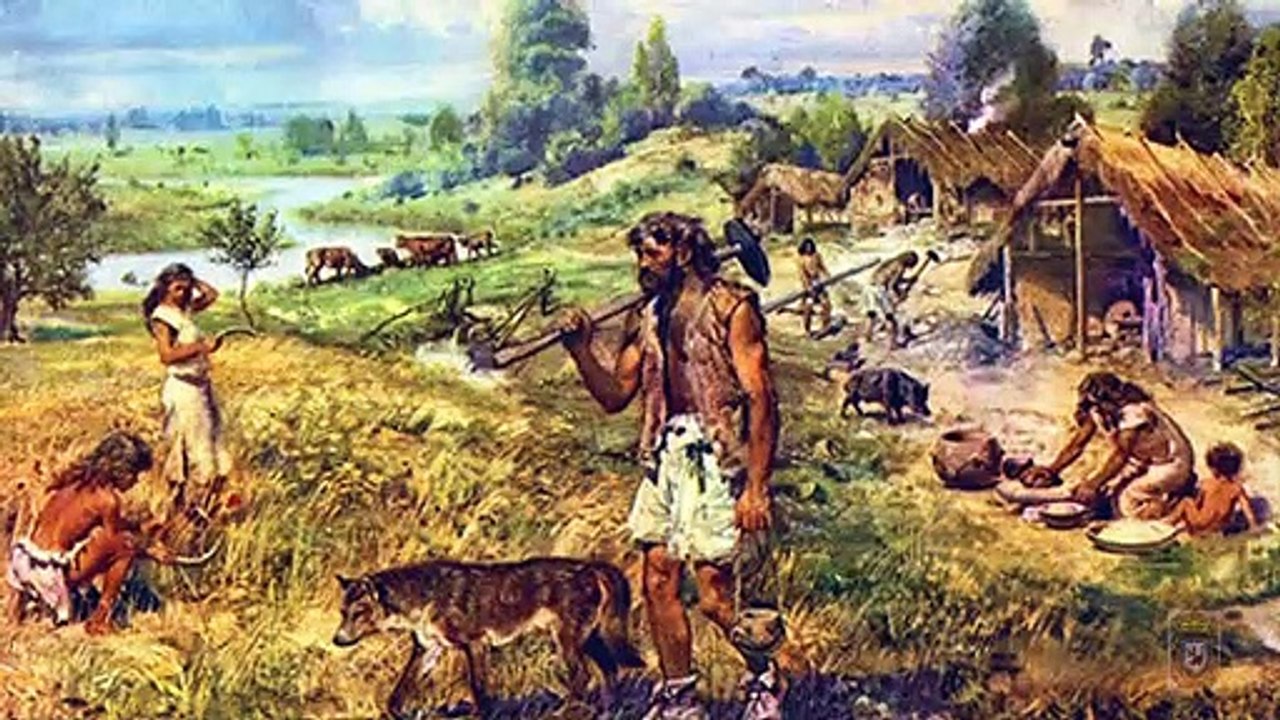 Las etapas de la lengua
