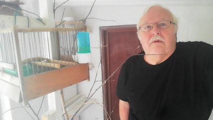 Quaregnon: huits agents ont contrôlé un petit élevage d'oiseaux