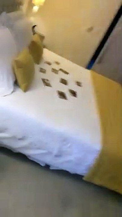 Cantora Luísa Sonza mostra fotos raras na suíte presidencial de hotel em Vitória, Espírito Santo