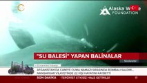 ABD'li bilim insanları kaydetti