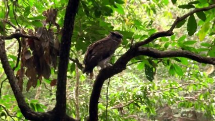 Frank Cuesta muestra el peligroso momento en el que unos traficantes estuvieron a punto de matarlo