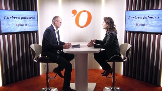 Estelle Maussion (Jeune Afrique): «Petit à petit, José Eduardo dos Santos s'est mis à contrôler tous les secteurs de l’Angola»