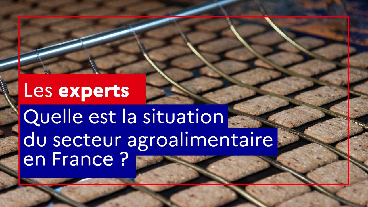 Comment le ministère aide-t-il les entreprises agroalimentaires ?