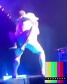 Lady Gaga suffered a nasty fall during a concert here after a fan with whom she was dancing with slipped off the stage -- taking the singer along.