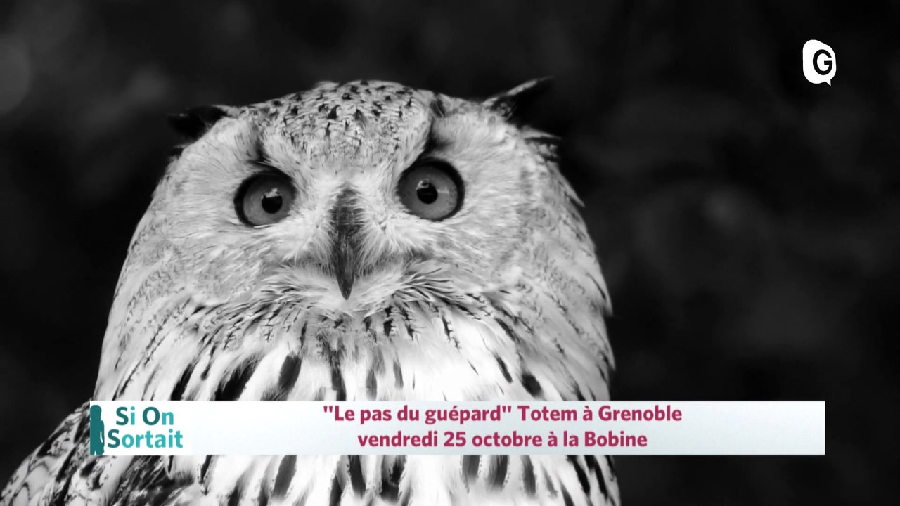 Totem à La Bobine, Comédie de Grenoble, Kayak'lo de Michel Lambu- 24 OCTOBRE 2019