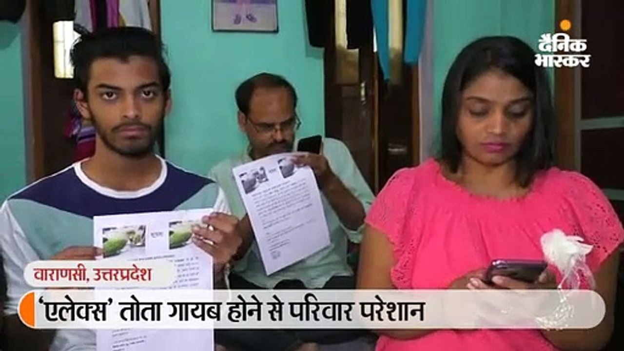 'एलेक्स' तोते के लिए बेचैन परिवार, पांच दिनों से खोज रही पुलिस, लौटाने वाले को मिलेगा 51 सौ नकद