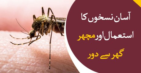 How to make mosquitoes stay away from your house