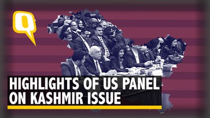 Kashmir Goes International: 3 Hours of US Testimony in 12 Mins