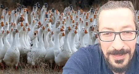 Çiftlik Bank'ın ardından bu kez de Kaz Bank dolandırıcılığı! 250 kişiden 5 milyon TL topladı