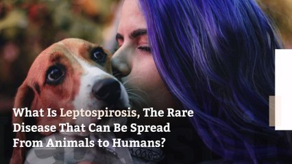 What Is Leptospirosis, The Rare Disease That Can Be Spread From Animals to Humans?