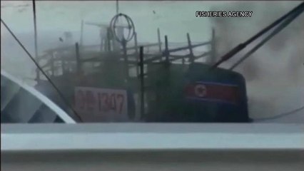 Спасение северокорейских браконьеров