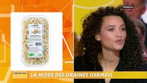 La mode des graines germées