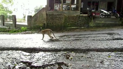 Masuk Ke Tempat Pesugihan..???- JUMPRIT