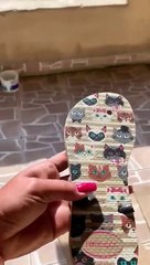 Papagaio fala demais e denuncia quem destruiu o chinelo da dona