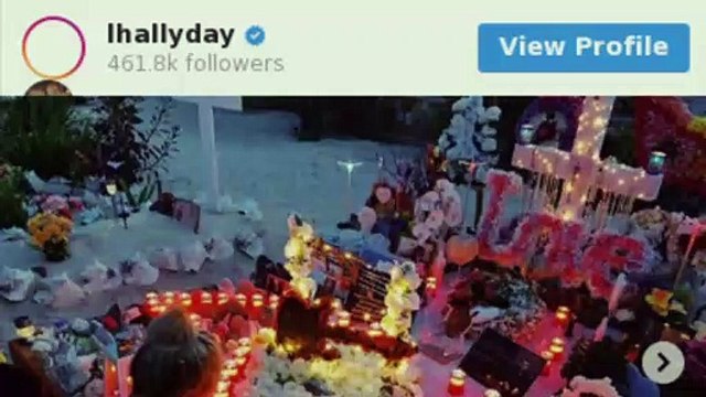 Florent Pagny assure que Johnny Hallyday est à l'origine de la guerre sur sa succession