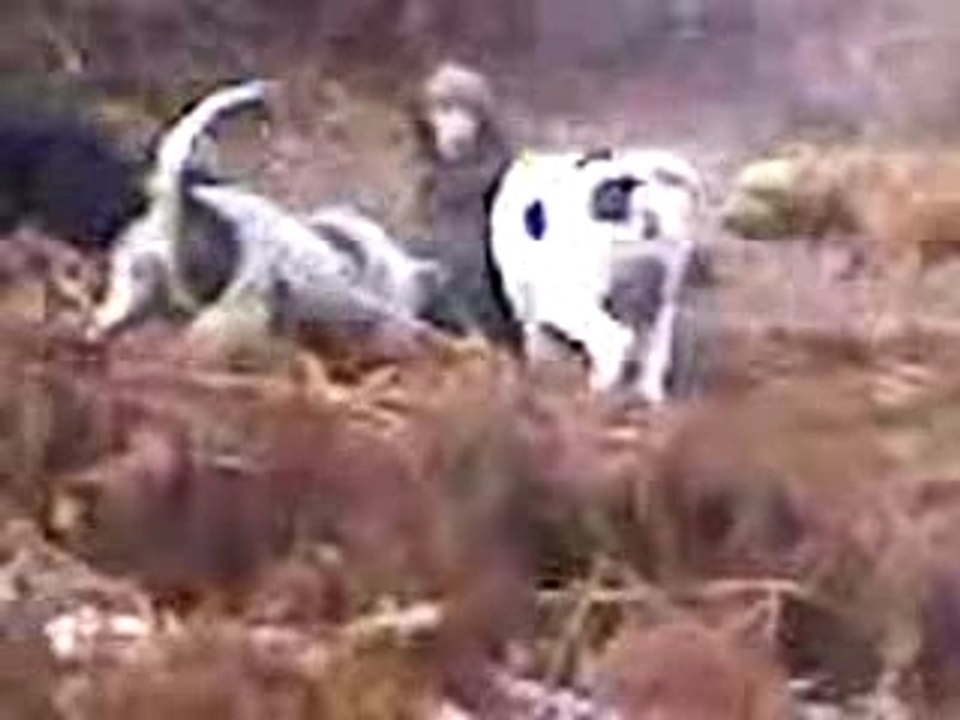 Vidéo 0028
