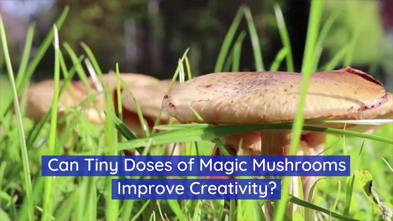Is Microdosing The Next Big Thing
