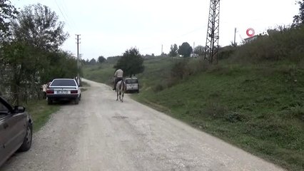 Bozuk yollara atlı çözüm