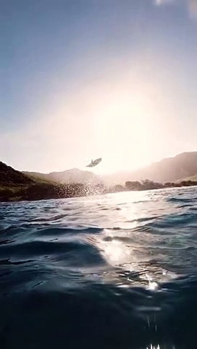 Dolphin Leaps from Water with Gorgeous Coast Backdrop