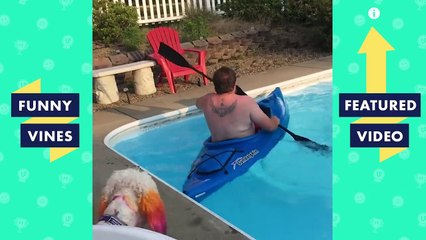 TRY NOT TO LAUGH - Funny PETS & Cute ANIMALS! | Funny Videos October 2018