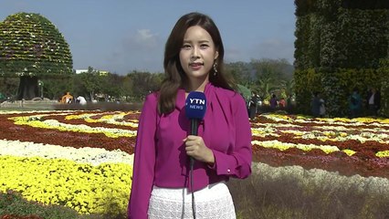 [날씨] 맑고 선선한 가을...국화 향 가득한 남도 / YTN